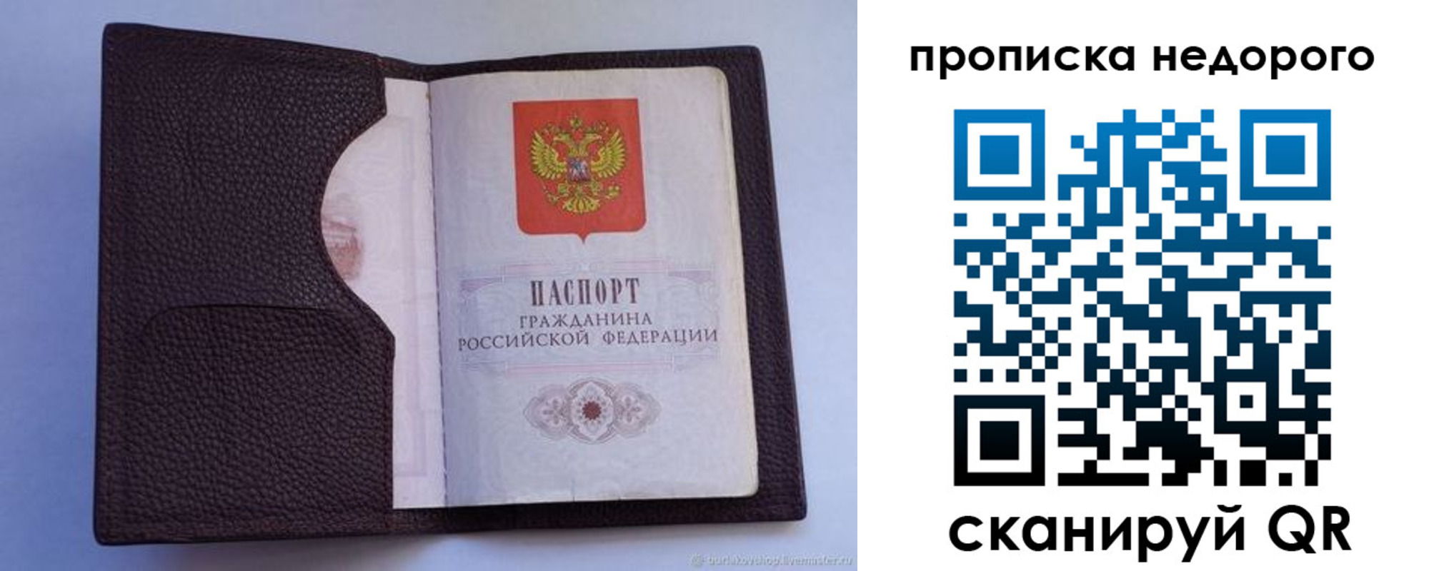 прописка законно в Приозерске